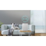 Hisense D16CW , Luftentfeuchter weiß